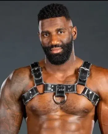 Mr. S Leather Piped Bulldog Harness Black/Grey